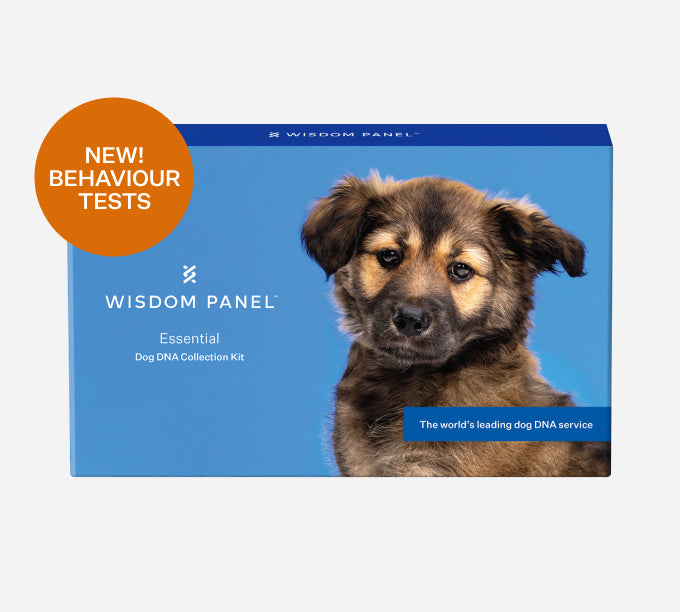 Wisdom Panel™ Essential - Pet Owner Kit