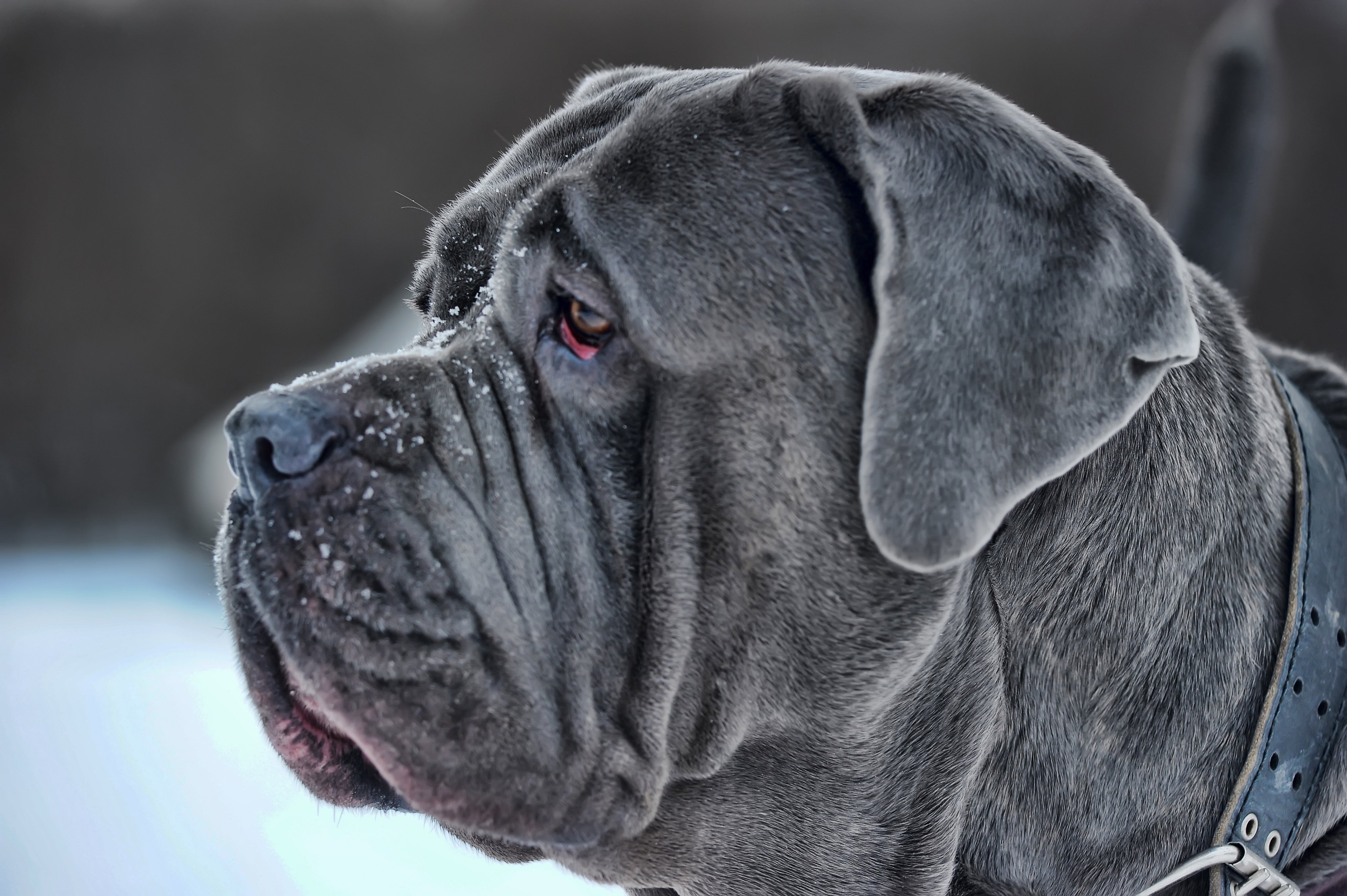 AdobeStock_141524106.jpg