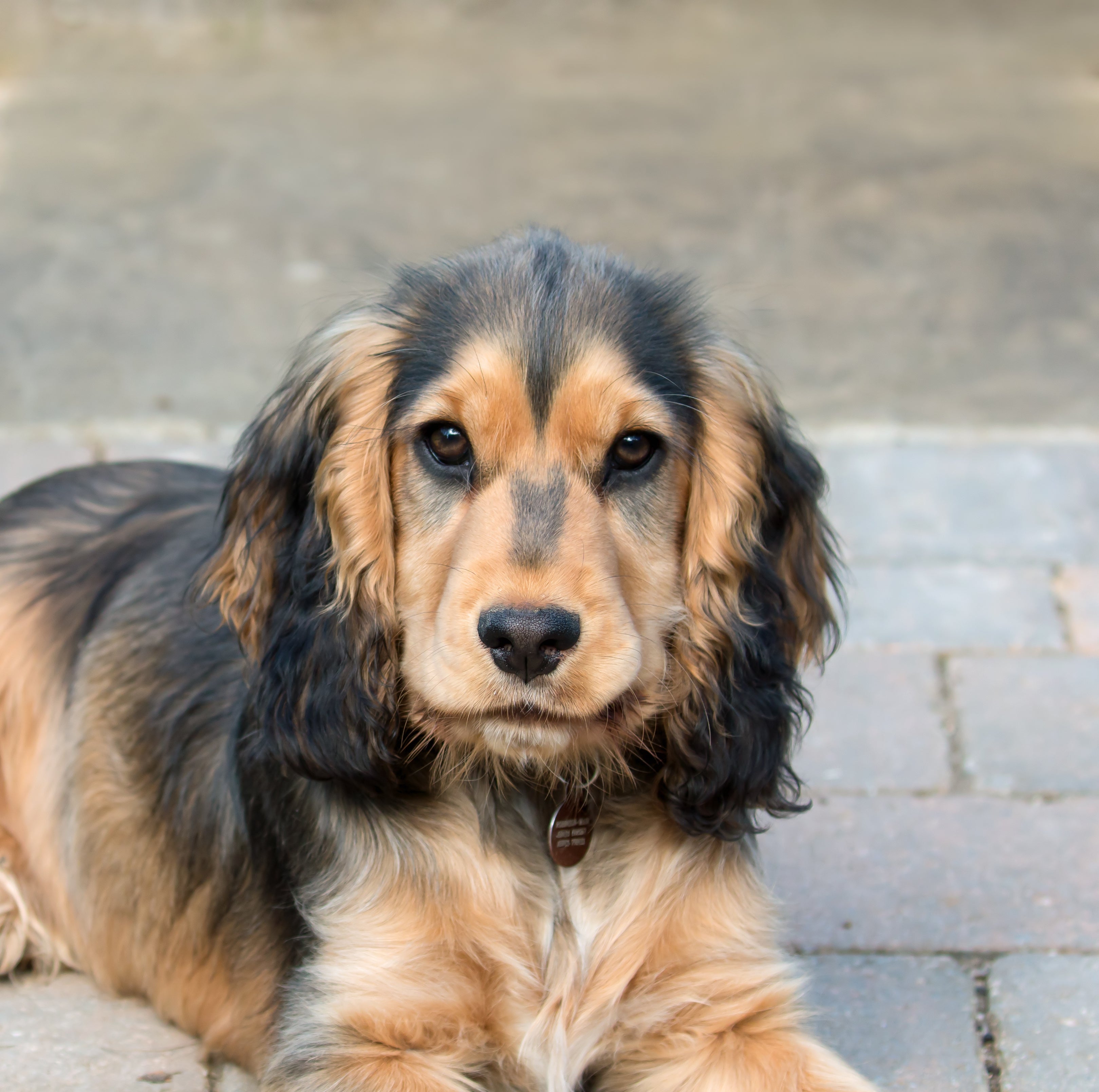 AdobeStock_168725445.jpg