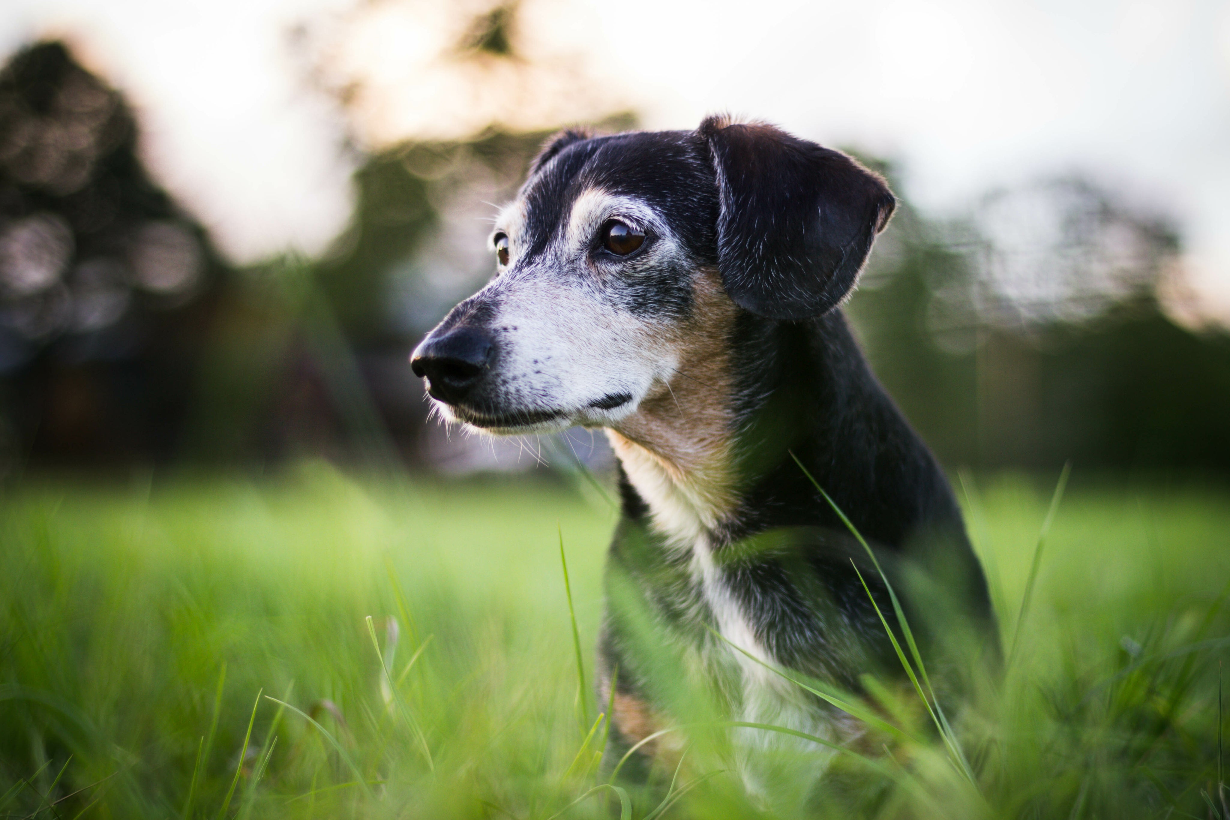 AdobeStock_216897052.jpg