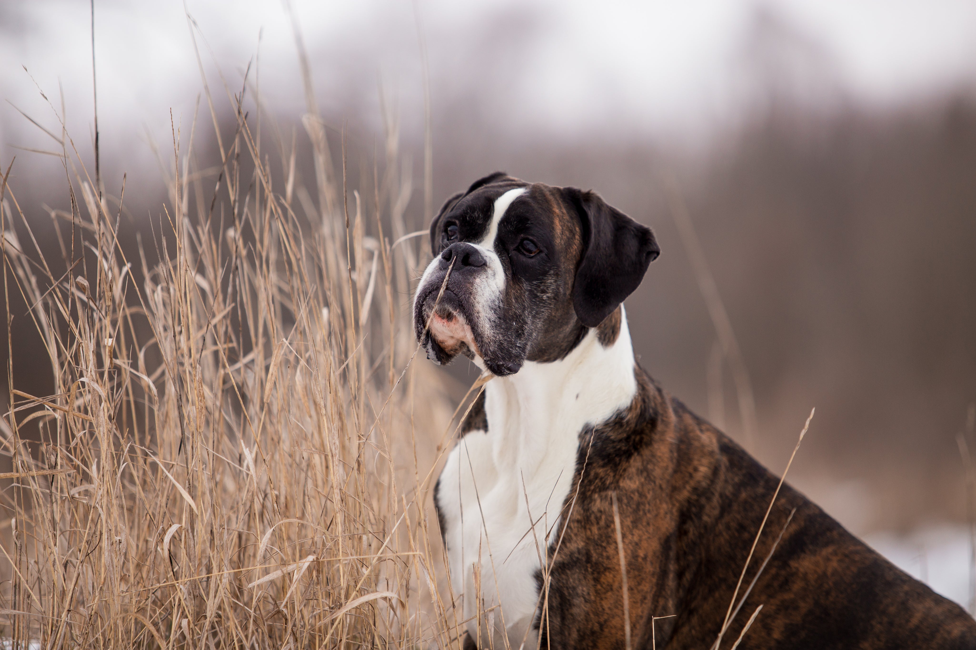 AdobeStock_255939169.jpg