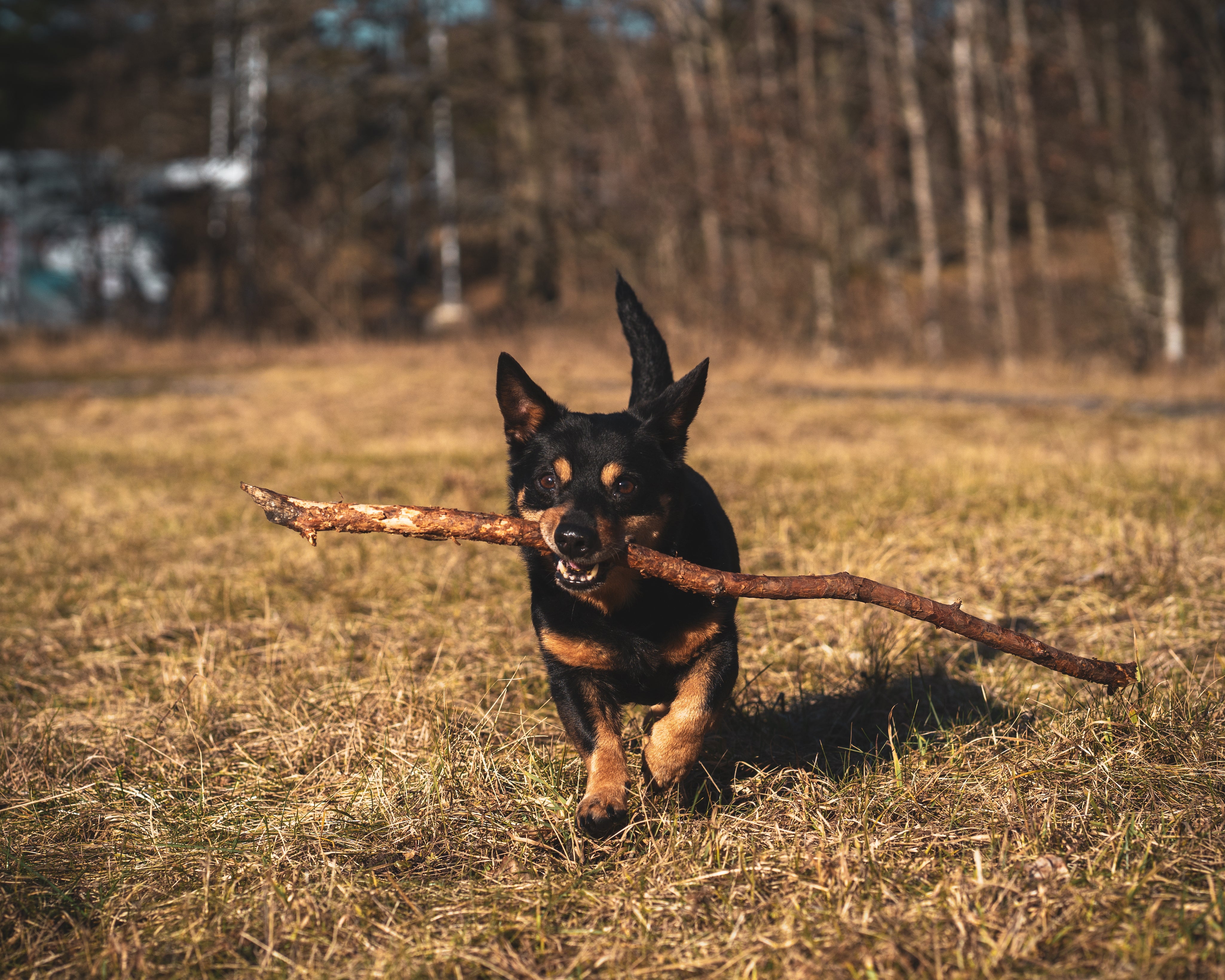 AdobeStock_408988389.jpg