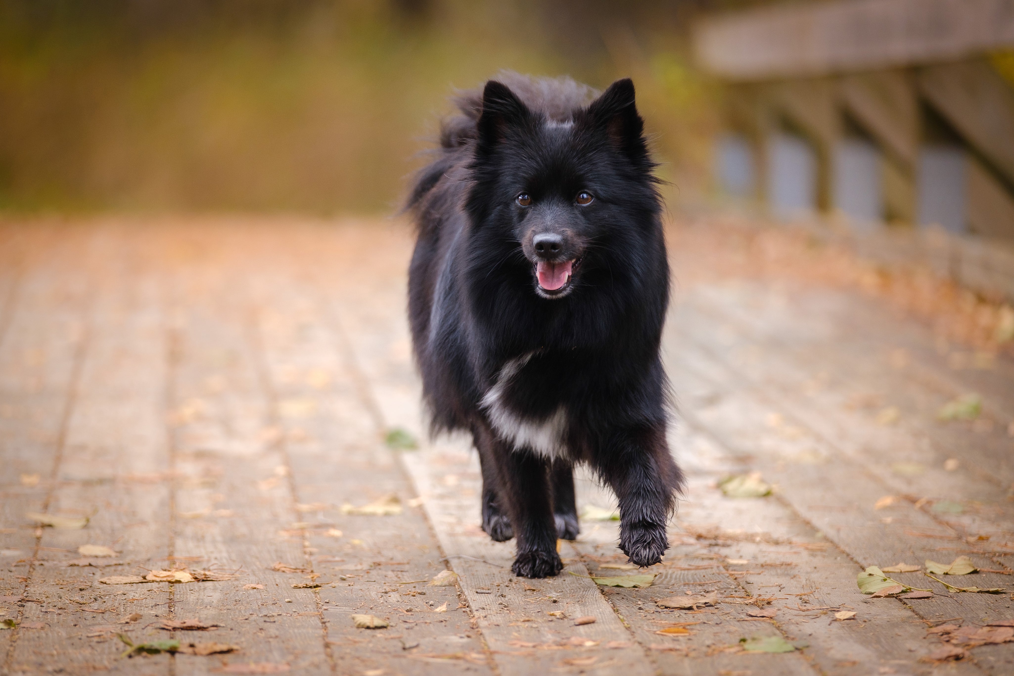 AdobeStock_502276253.jpg