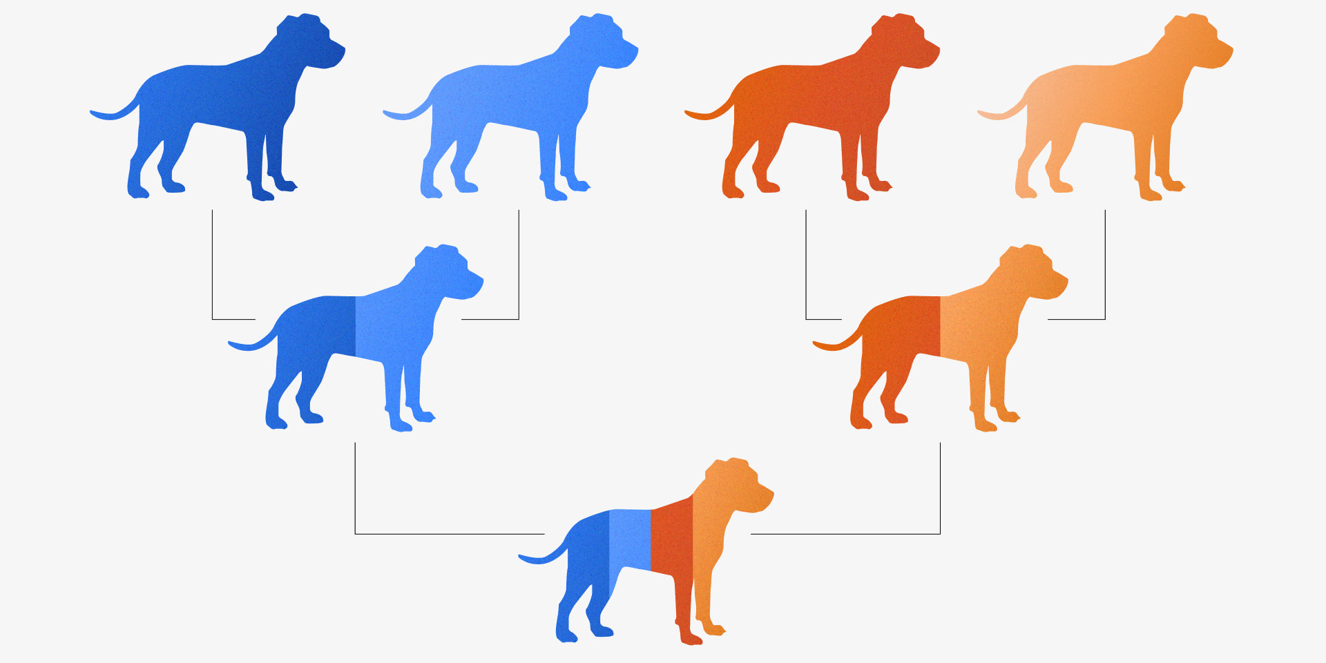 Canine Parentage Testing Explained