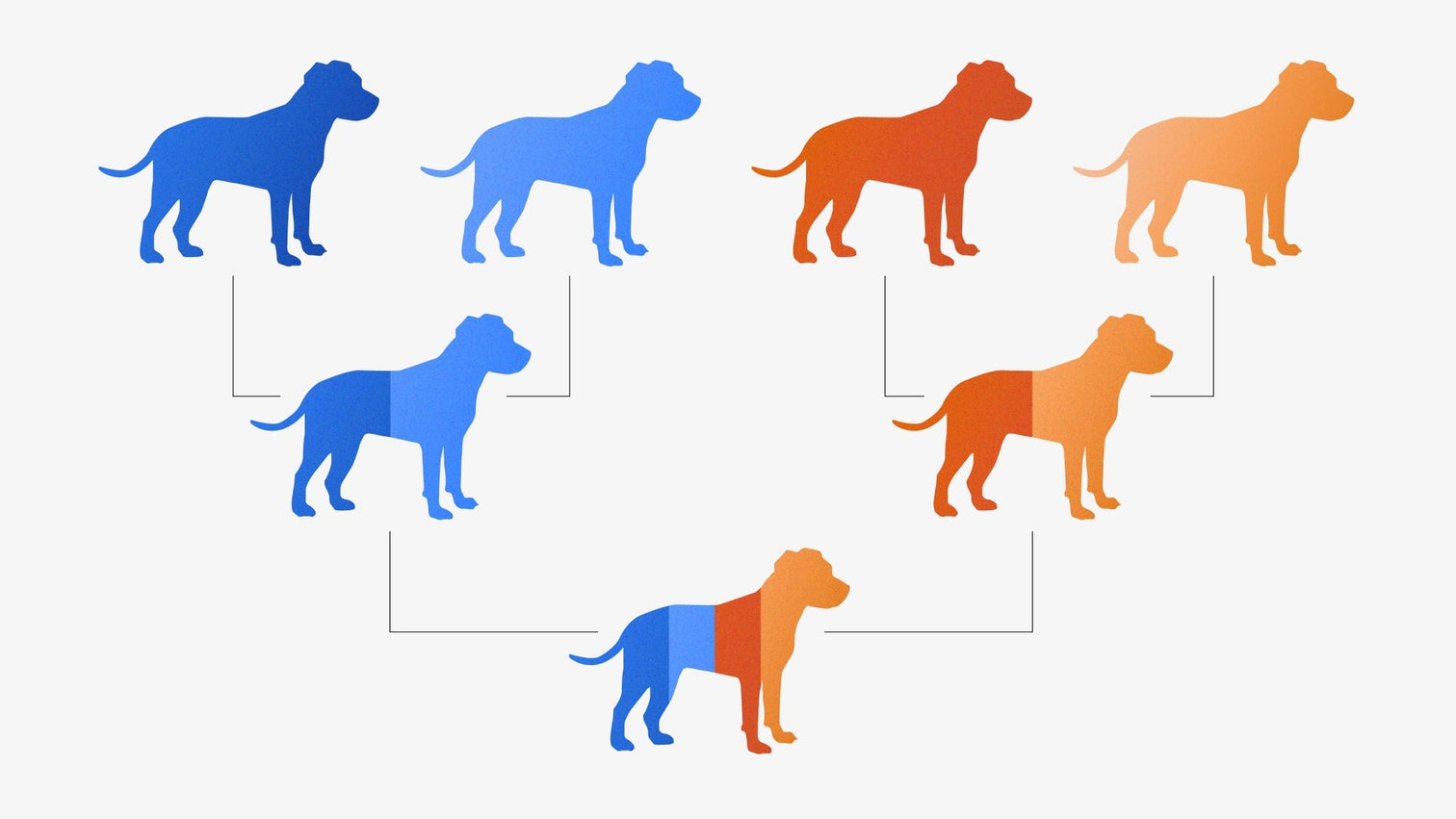 Canine Parentage Testing Explained – MyDogDNA - Canine Gene Variants Testing