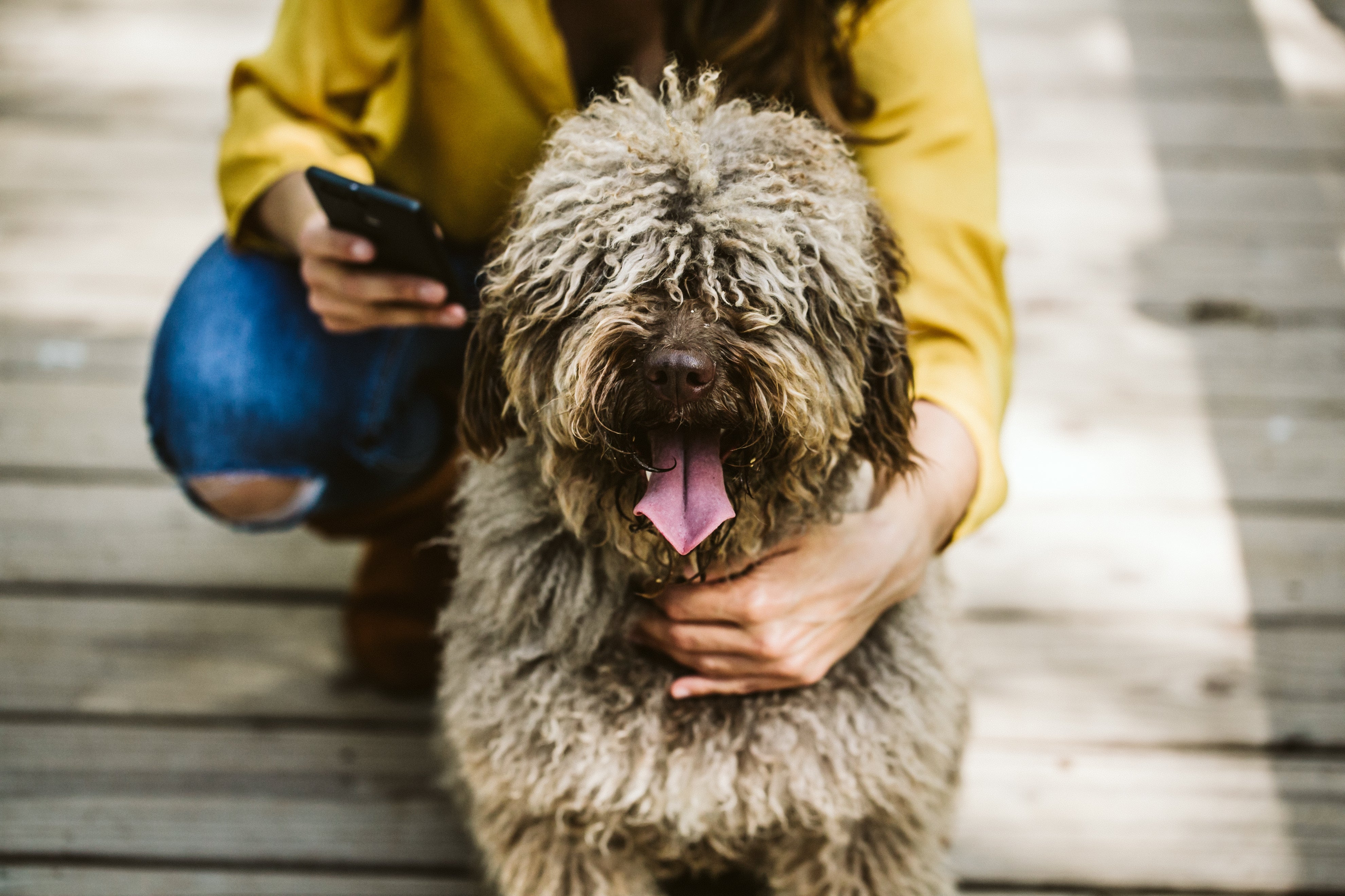 Woman in park on her phone holding her dog