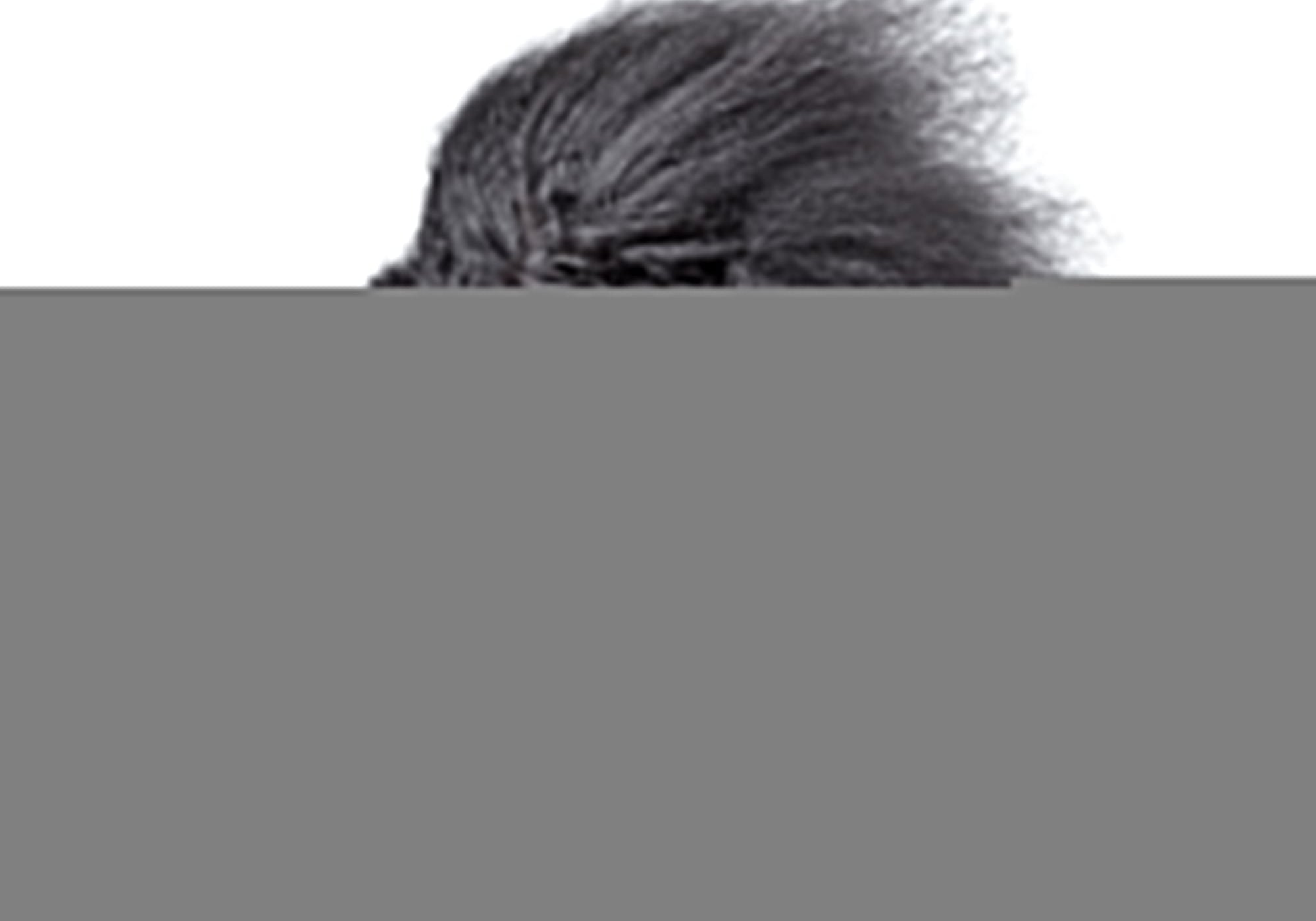 Black standard Poodle with blowing fur