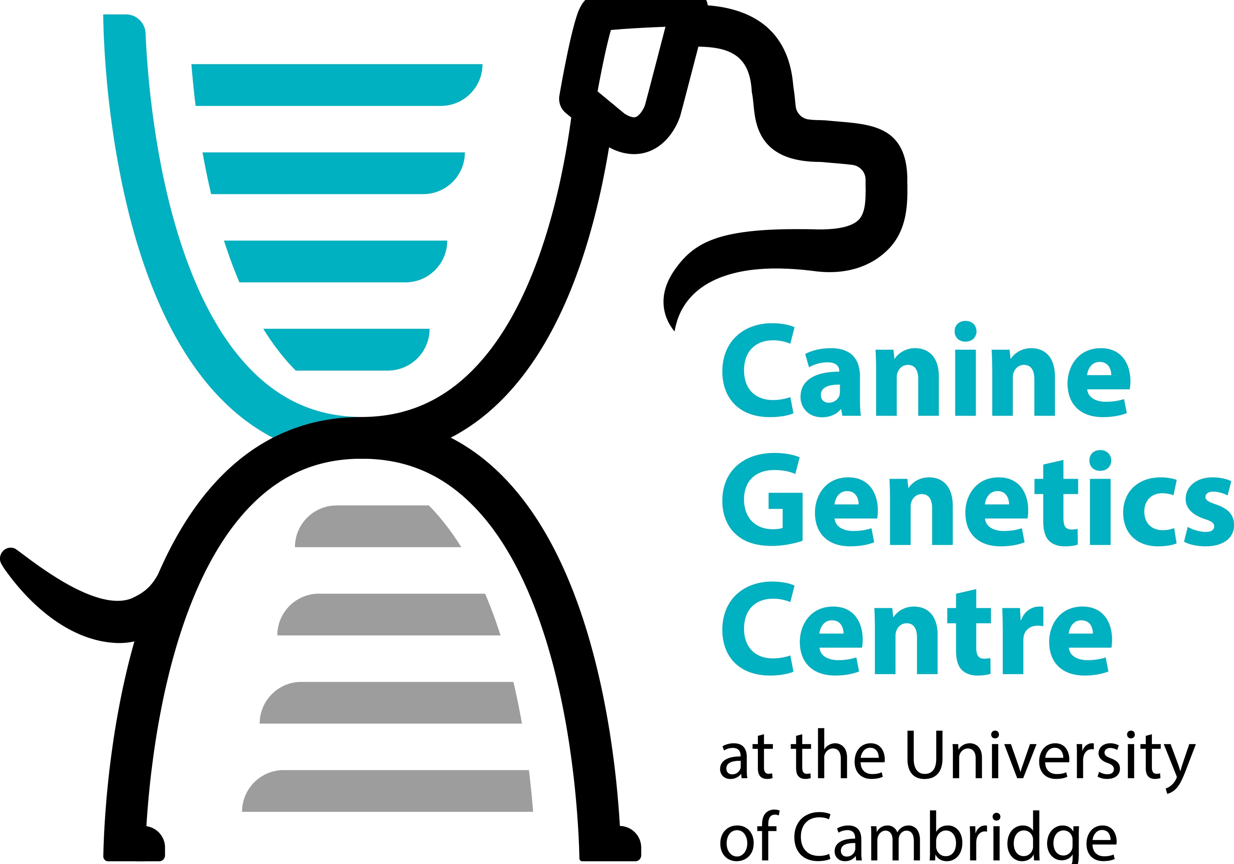 New Research Partnership with the Canine Genetics Centre, UK