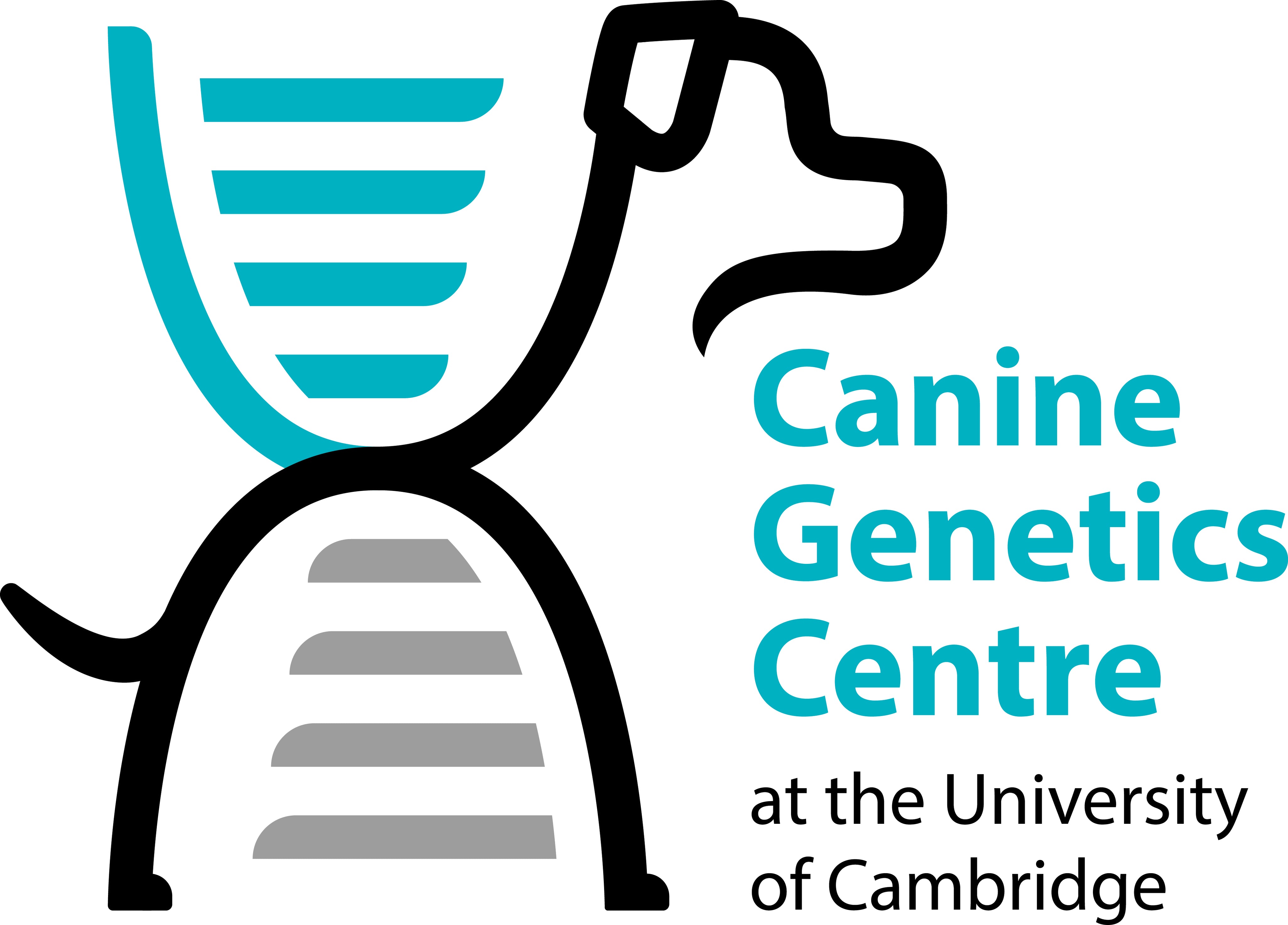 New Research Partnership with the Canine Genetics Centre, UK