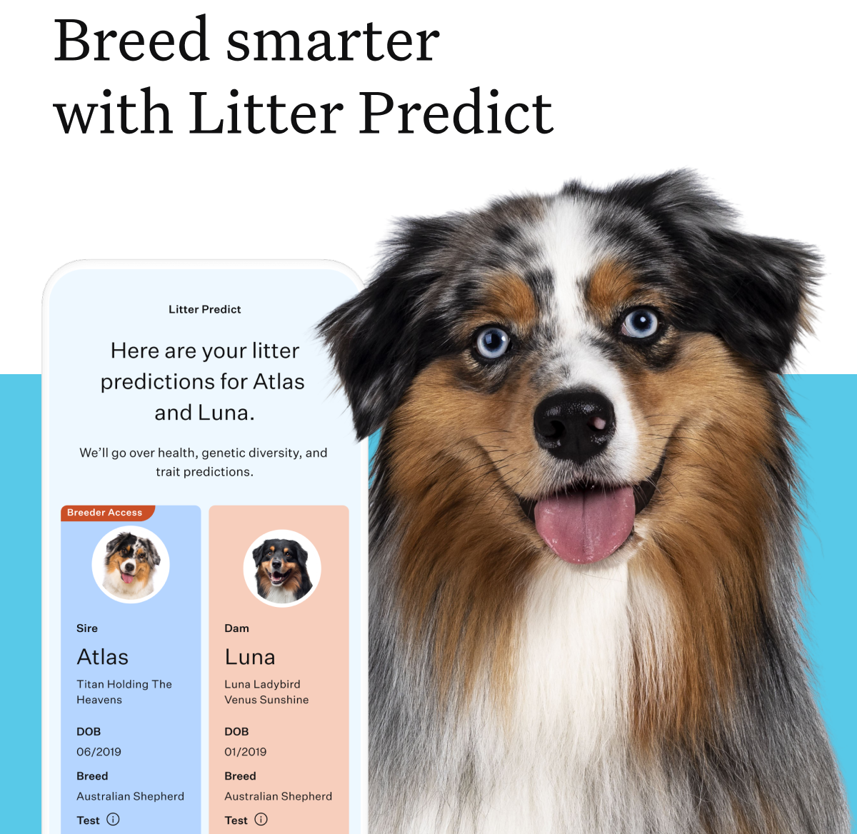 A Litter Predict User Guide