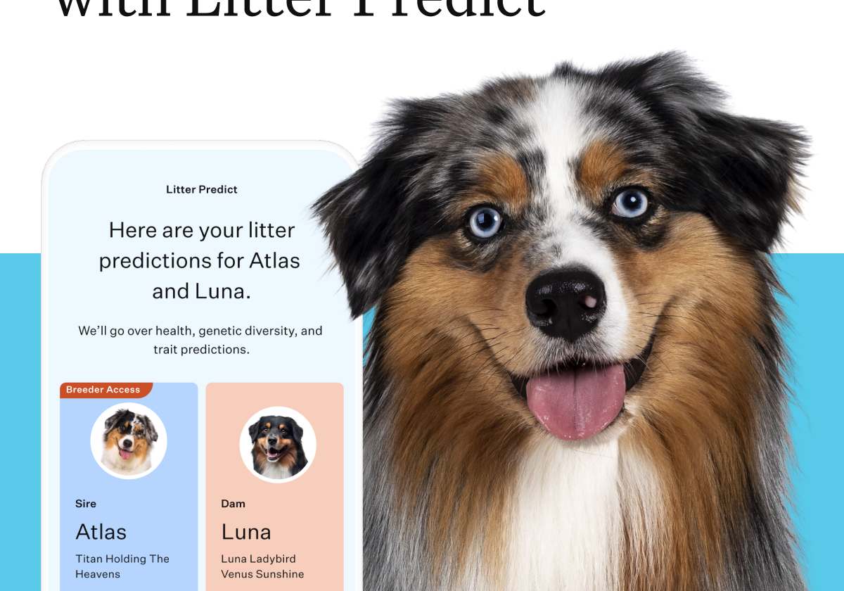 A Litter Predict User Guide