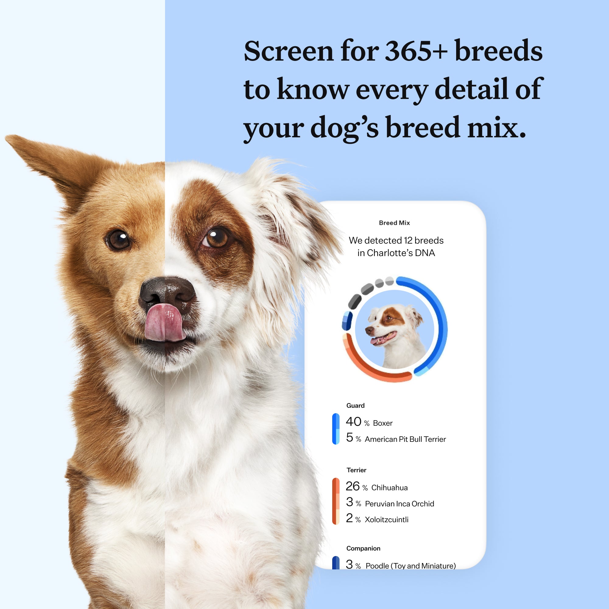 Wisdom Panel™ Breed Discovery Pet Owner Kit – MyDogDNA