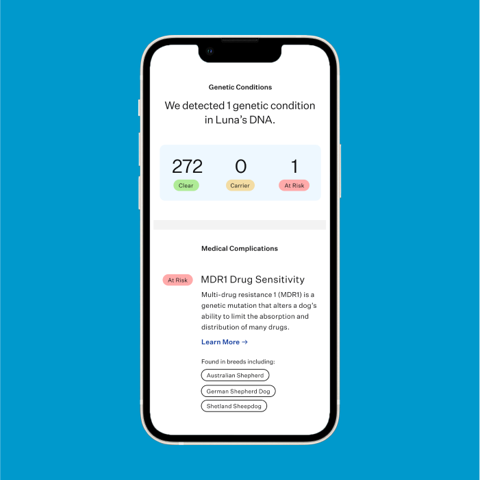 MyDogDNA™+ DNA Profile with Parentage Service