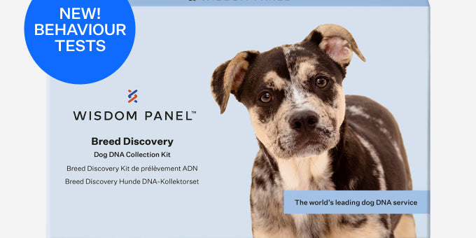 Wisdom Panel™ Breed Discovery - Pet Owner Kit