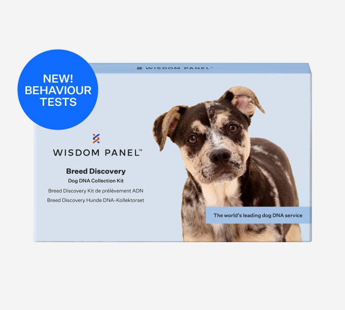 Wisdom Panel™ Breed Discovery - Pet Owner Kit