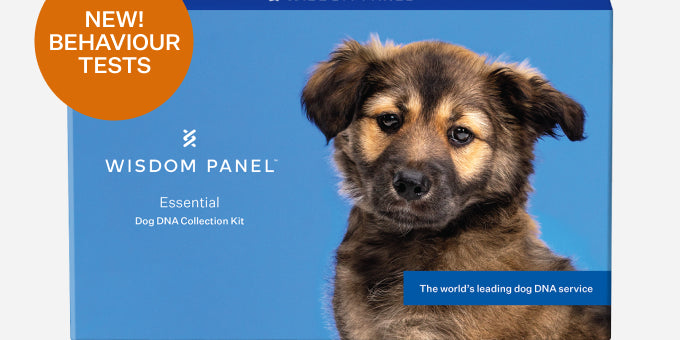 Wisdom Panel™ Essential - Pet Owner Kit