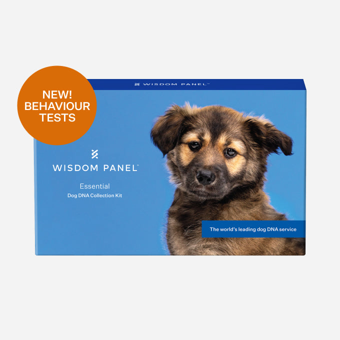Wisdom Panel™ Essential - Pet Owner Kit