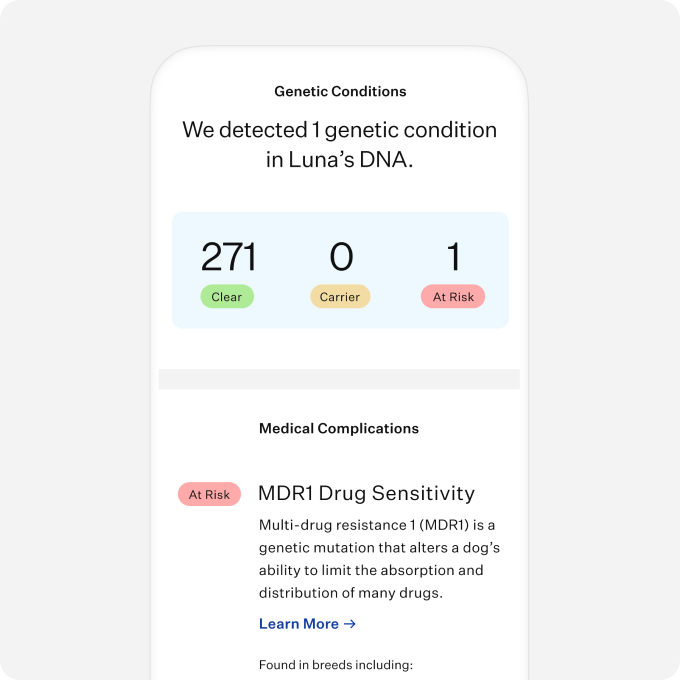 Feature_Health_Species_Dog_Tier_Standard_Size_Lg_87e3d675-2989-4e02-b8a4-140ee553c337.png