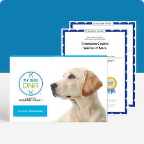 MyDogDNA™ Advanced