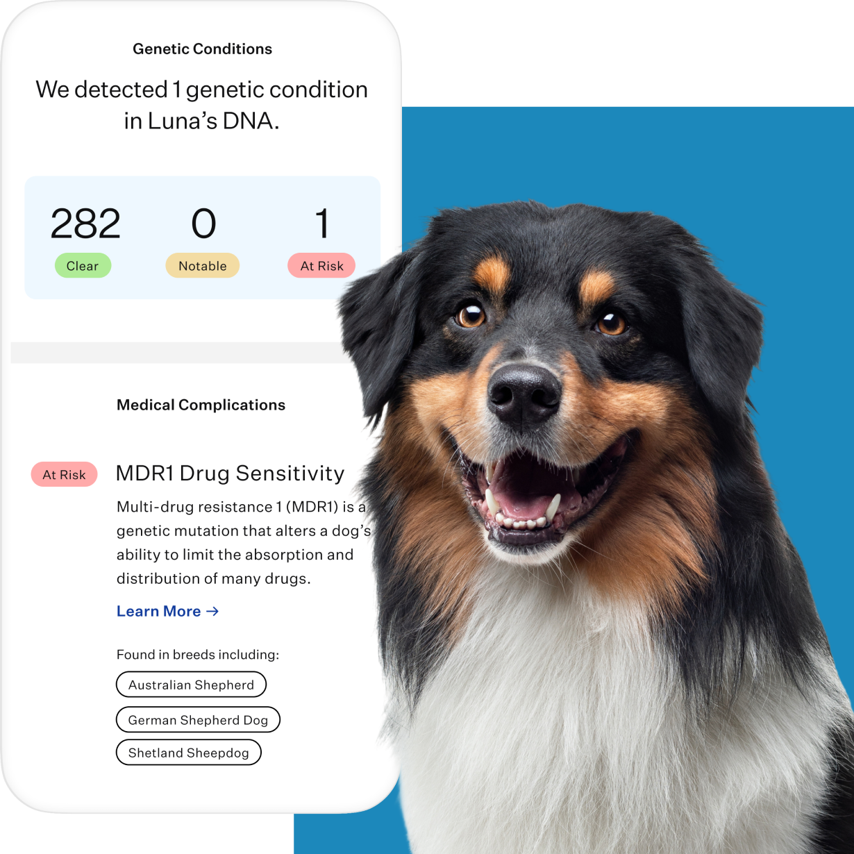 Feature_Test_Species_Dog_Product_MDD.png