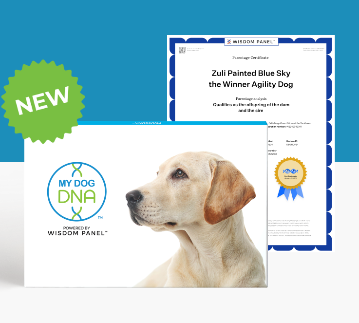 MyDogDNA™+ DNA Profile with Parentage Service