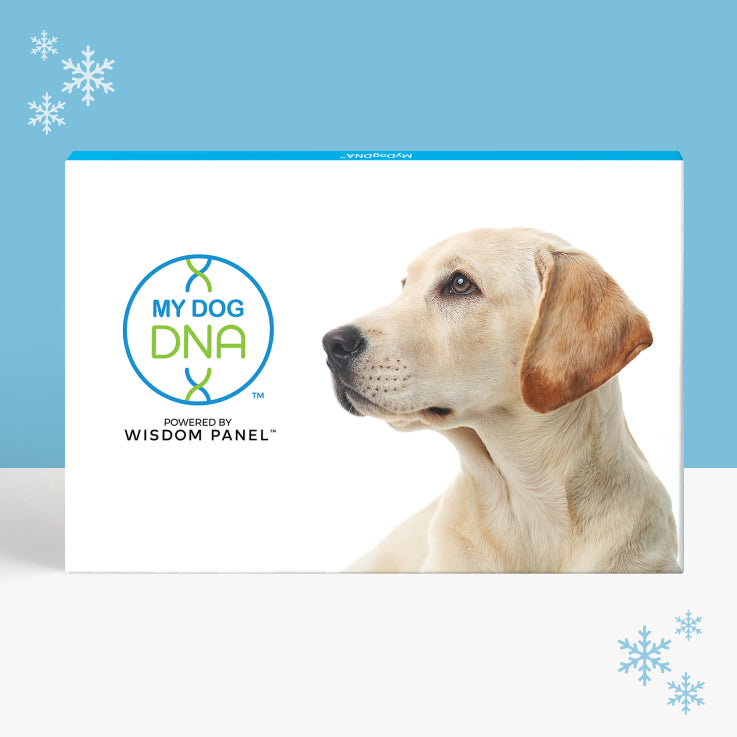 Dog dna colour shops test uk