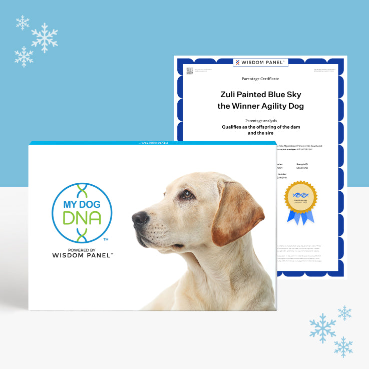 Mydogdna litter pack