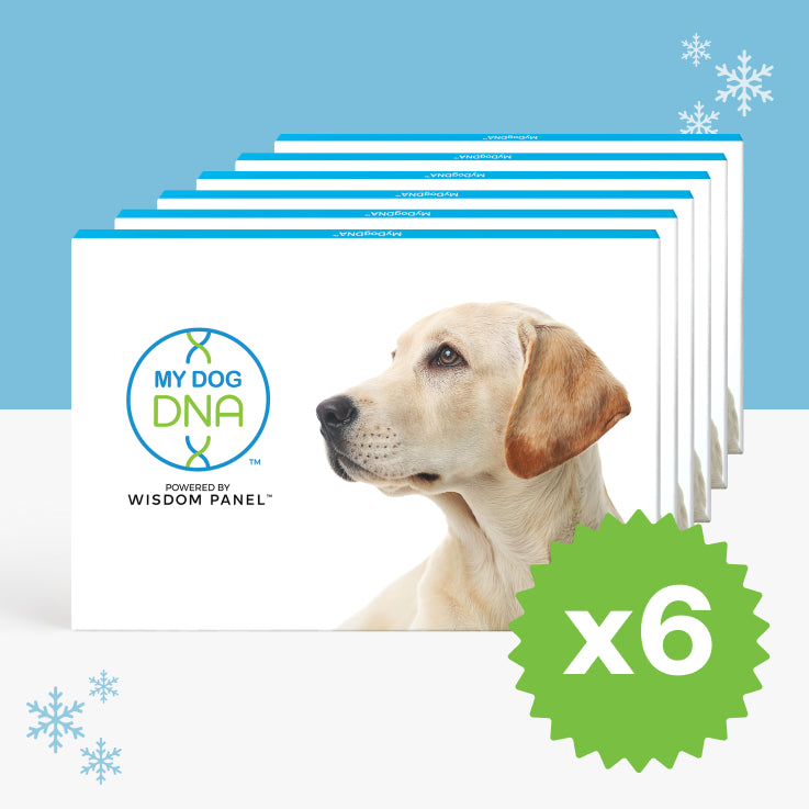 mydogdna-litter-pack