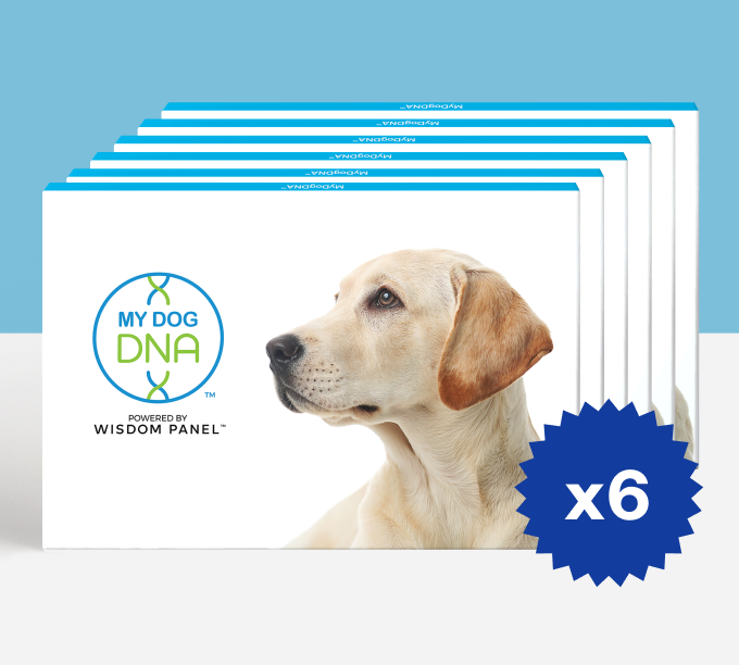MyDogDNA™ Litter Pack