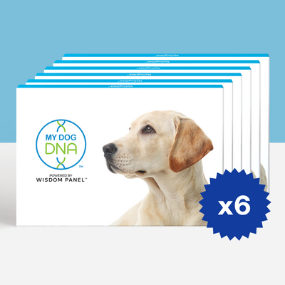 MyDogDNA™ Litter Pack