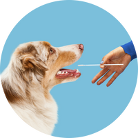 Step_2_f95a2994-a9ed-4952-b9f1-8dde2751d3ab.png