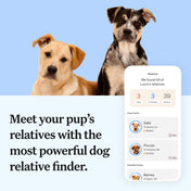 Wisdom Panel™ Essential - Pet Owner Kit