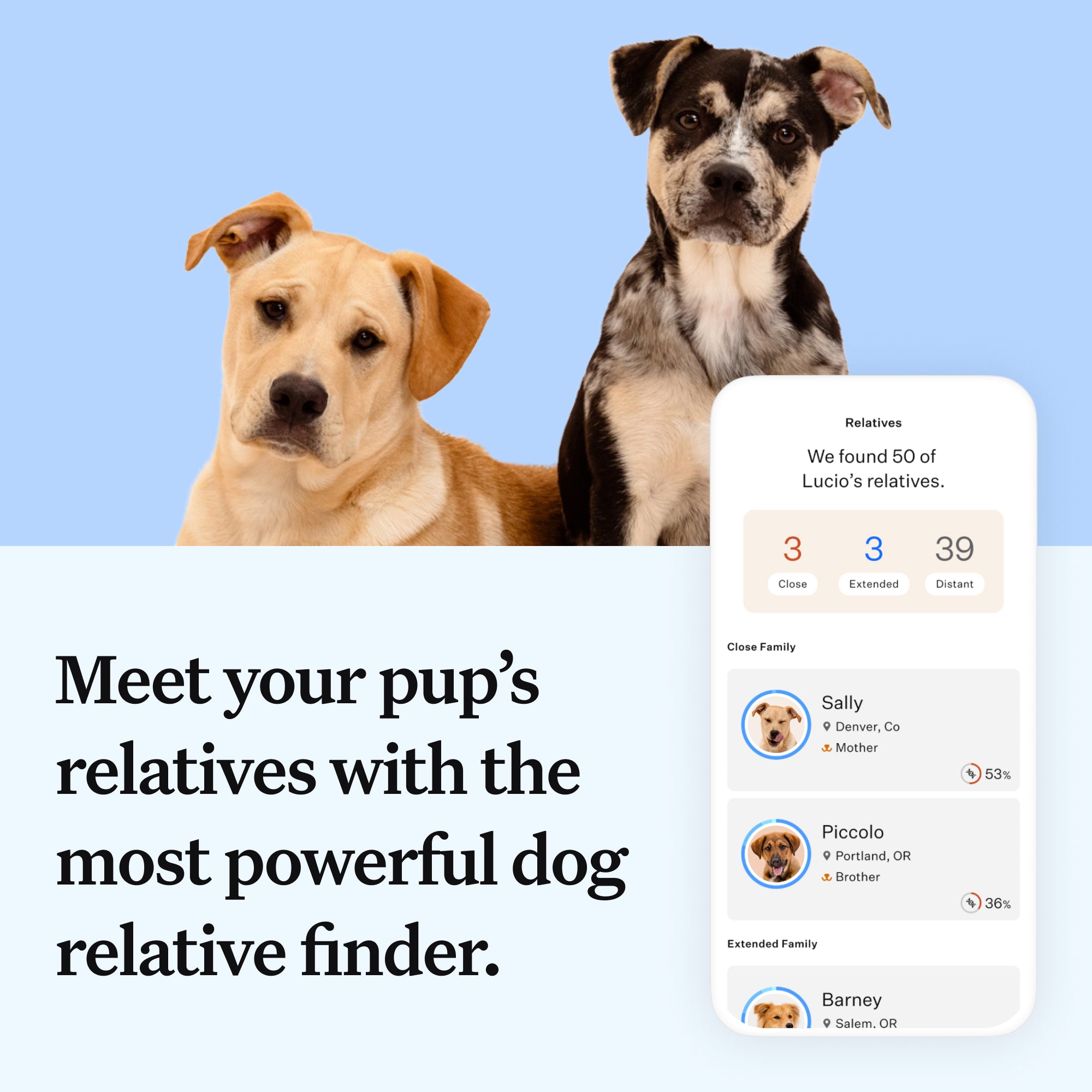 Wisdom Panel Example Wisdom Panel™ Essential - Pet Owner Kit – MyDogDNA