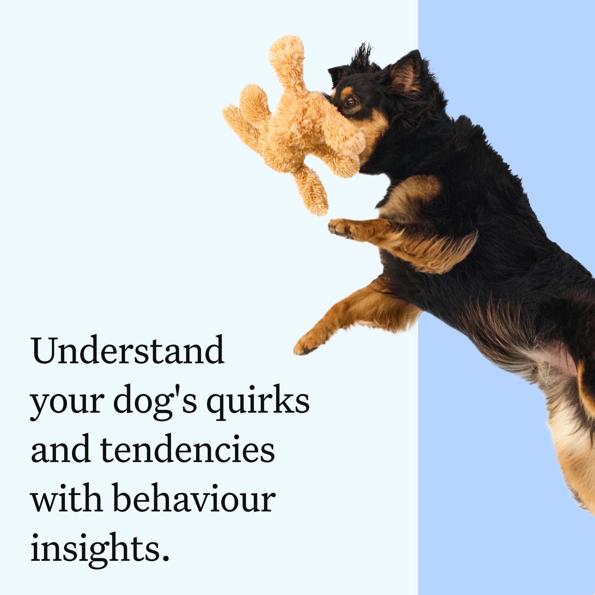 Wisdom Panel™ Essential Pet Owner Kit – MyDogDNA