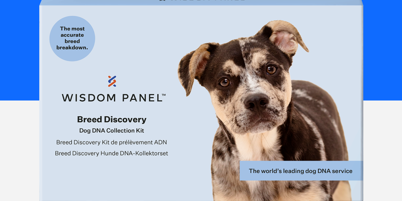 Wisdom Panel™ Breed Discovery - Pet Owner Kit