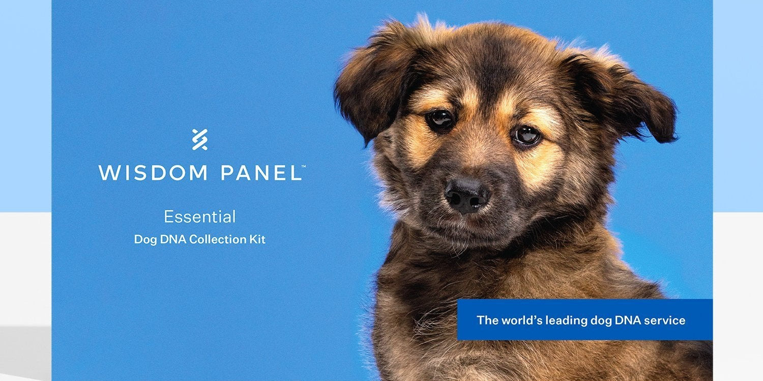 Wisdom Panel™ Essential - Pet Owner Kit