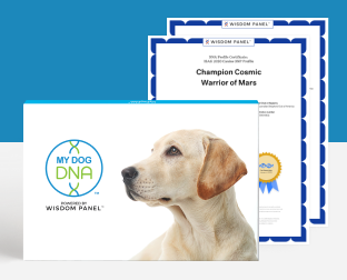 MyDogDNA™ Advanced Upgrade