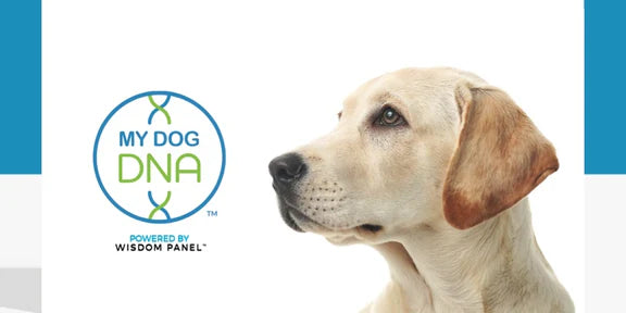 MyDogDNA™