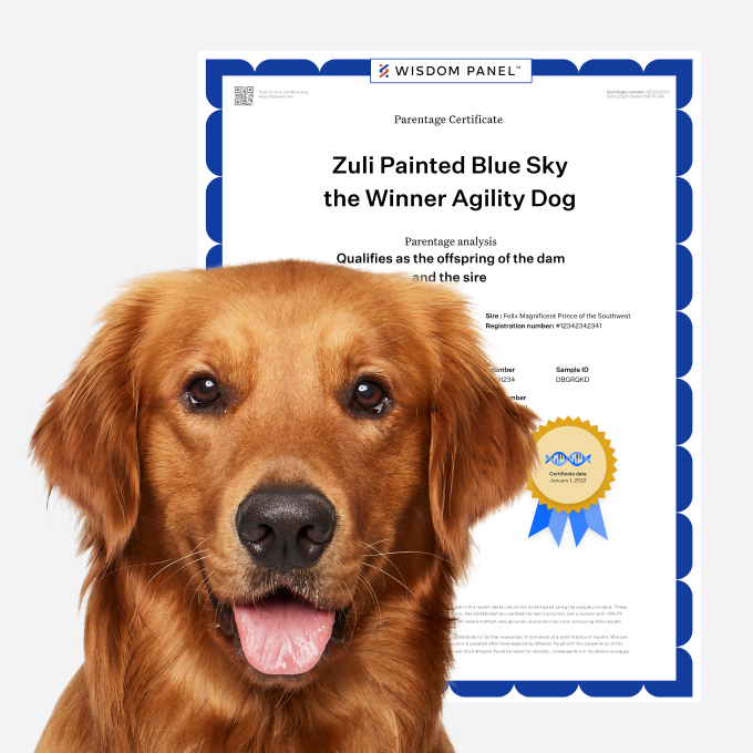 DNA Profile and Parentage Upgrade for Canine